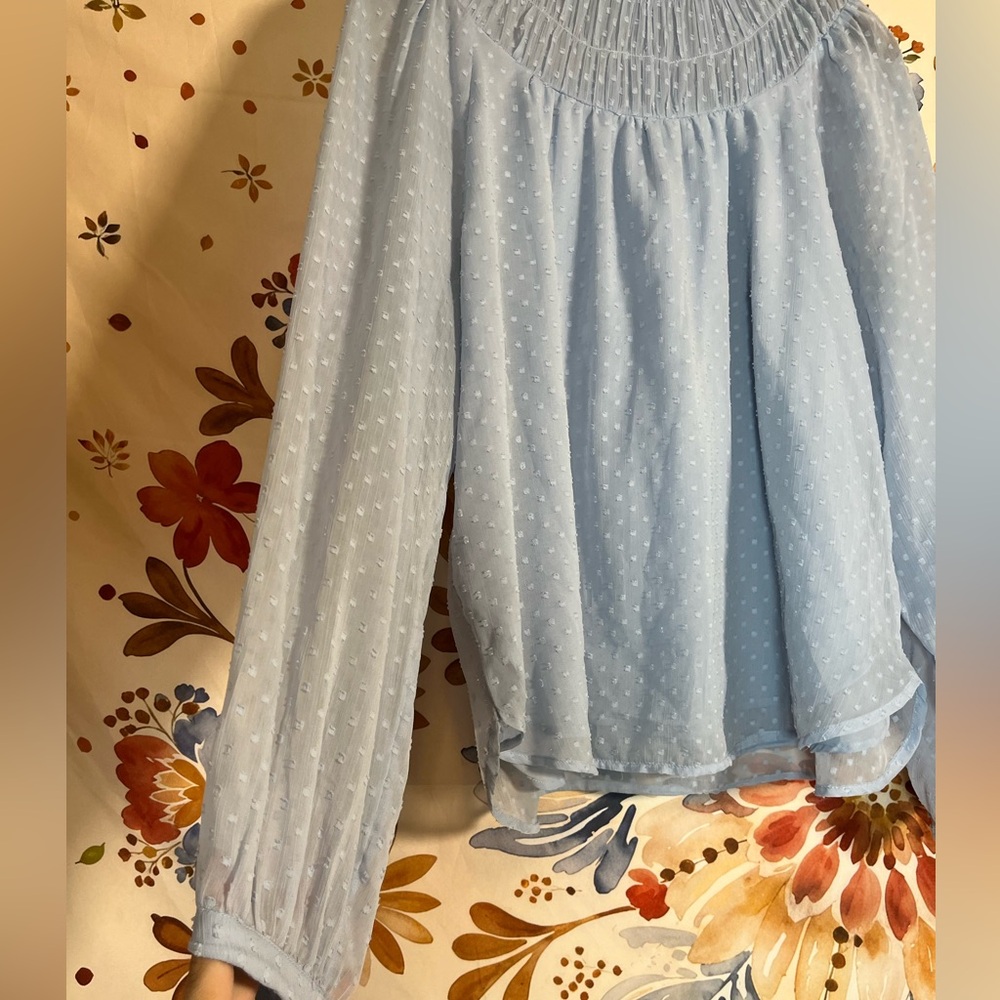 LOFT L Powder Light Blue Swiss Dot Sheer Sleeve Office Blouse Spring Summer City - Picture 7 of 12